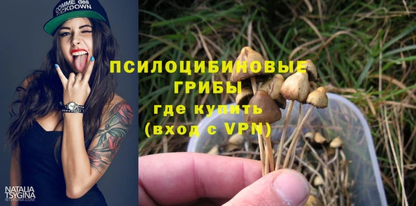 сатива Алзамай